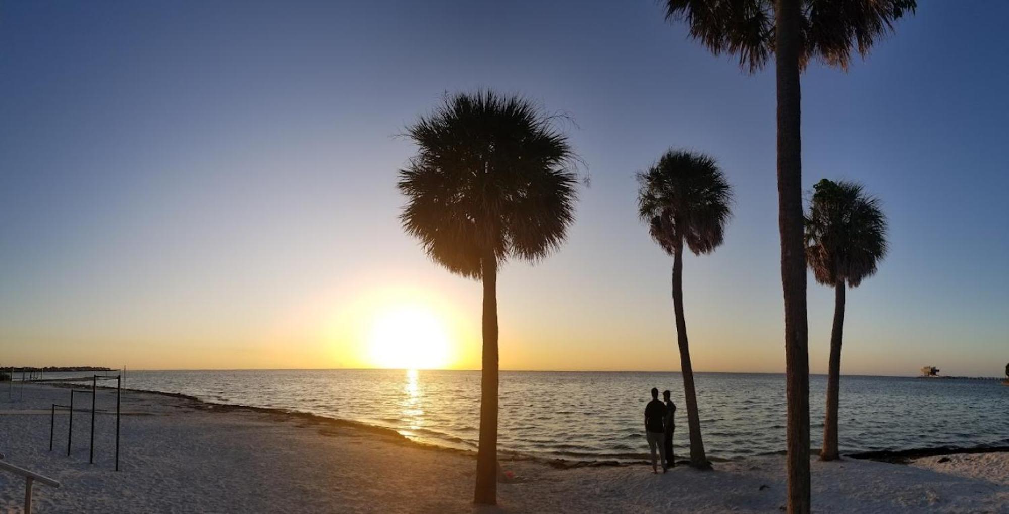 Elegant Studio Apartment In Downtown St Pete - Great Community Events! Сент-Пітерсбург Екстер'єр фото
